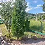 Pansion Panonika Tuzla