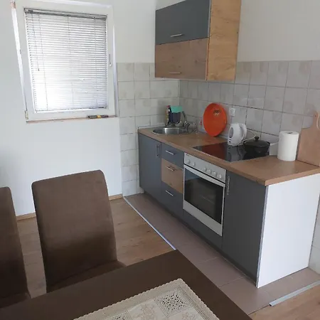 Apartment Pansion Panonika *