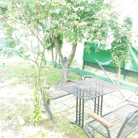Pansion Panonika Apartament